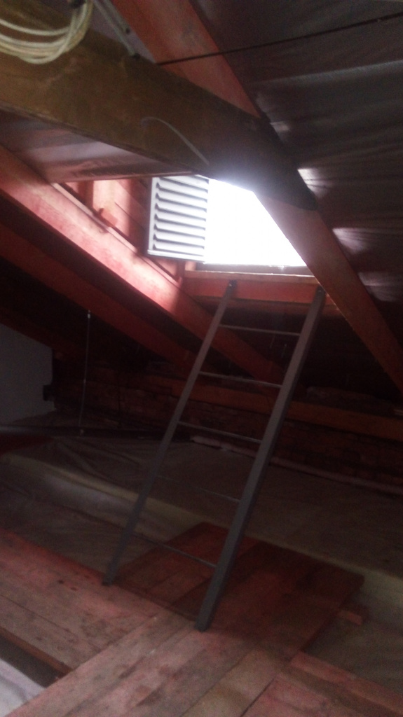 20211027_133600.jpg 20211027_133600.jpg